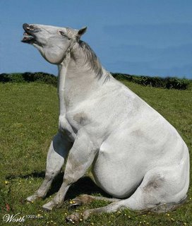 52 - ♕ SPIRIT BRINGERS: EMPYREAN REALM. (SAGA DE AMAGI) - Página 12 Fat-horse1